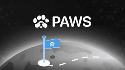 Картинка к материалу: «POWS. Новый бот от создателей хомяка.  https://t.me/PAWSOG_bot/PAWS?startapp=RGd6Kqy8»